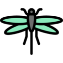 animals,nature,animal kingdom,animal,insect,insects,wings,top view,winged,dragon fly